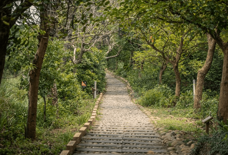 南寮登山步道