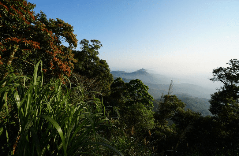 大凍山登山步道