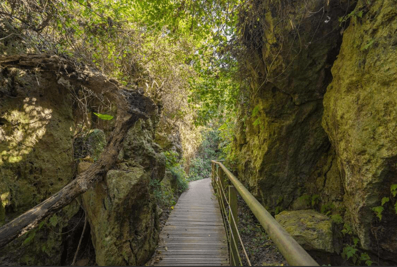 柴山登山步道
