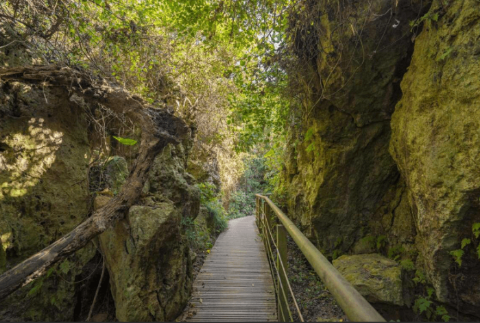 柴山登山步道