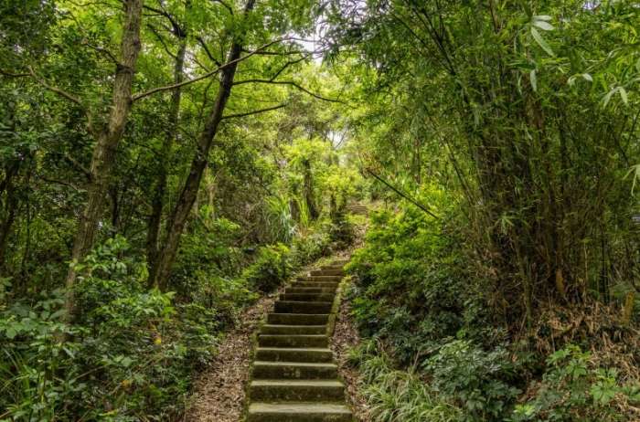 大同山登山步道