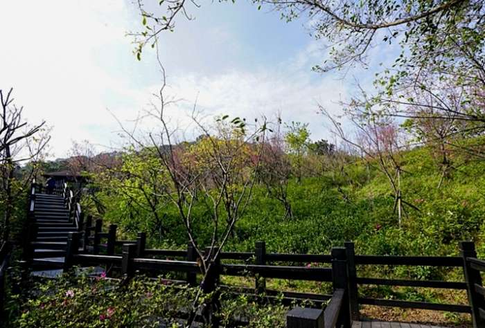 大同山登山步道地圖