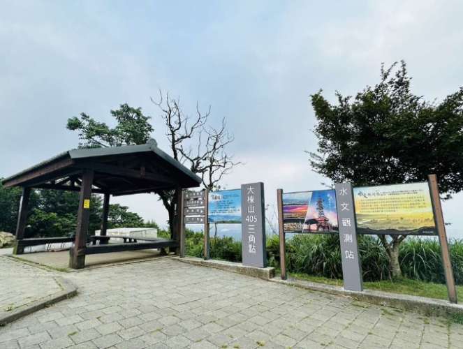 大棟山登山步道生態