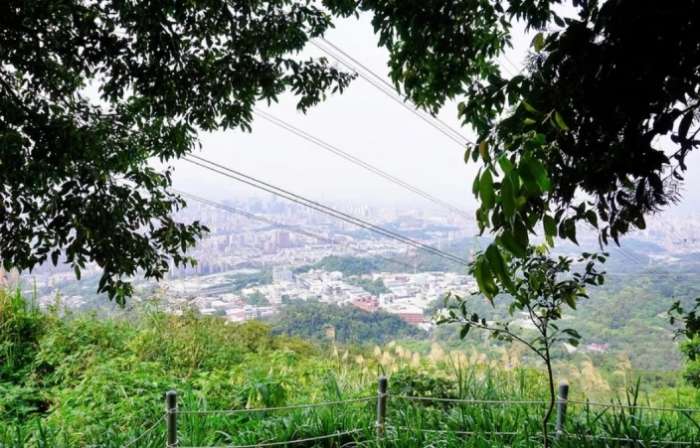 大尖山登山步道