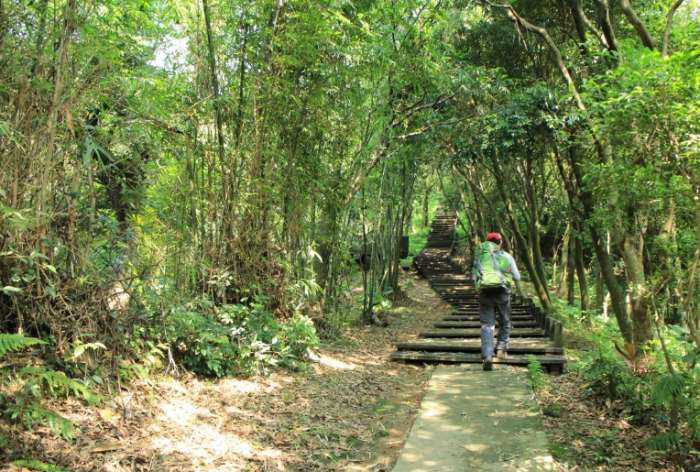 大同山登山步道設施