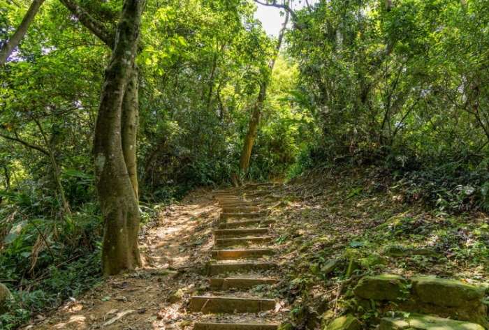 大棟山登山步道路線