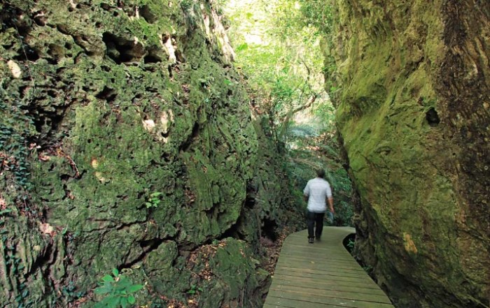 柴山登山交通 柴山登山交通