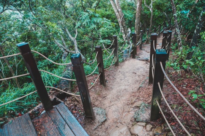 大坑七號登山步道