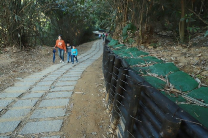 大坑七號登山步道路線 大坑七號登山步道路線