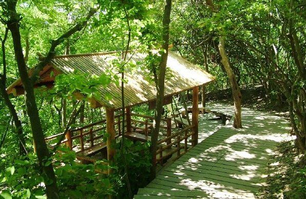 柴山登山路線 柴山登山路線