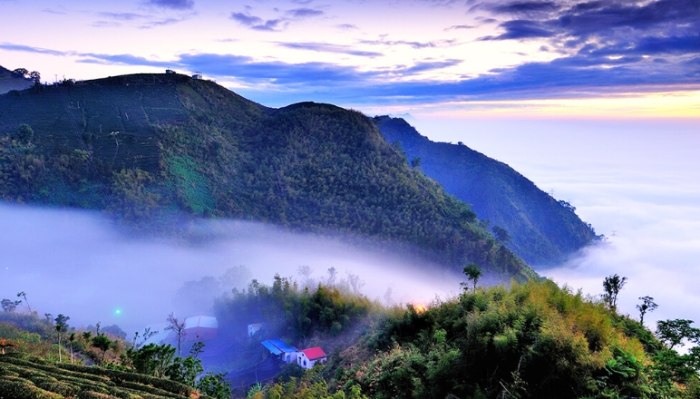 阿里山地圖 阿里山地圖