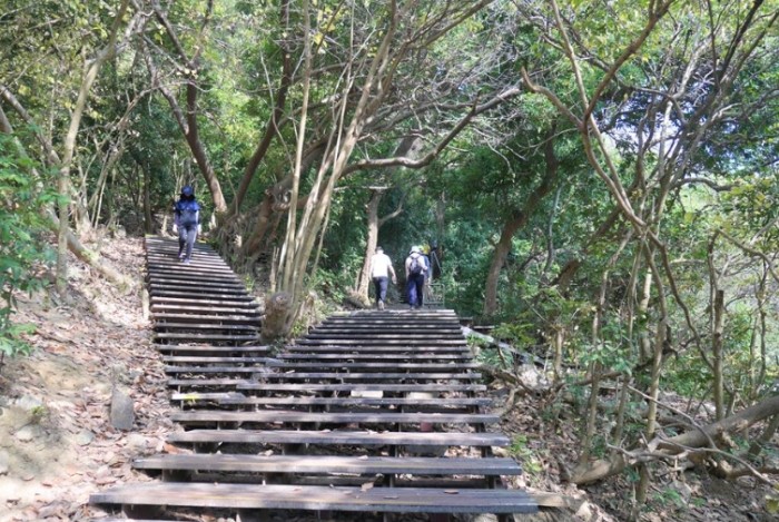 柴山登山步道 柴山登山步道