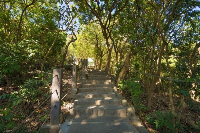 柴山登山步道 柴山登山步道