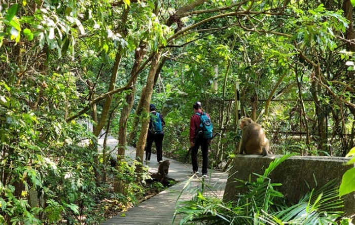 柴山登山季節 柴山登山季節
