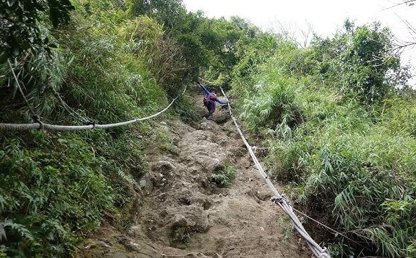 觀音山步道難度 觀音山步道難度