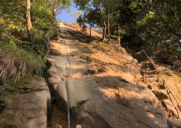 皇帝殿山登山步道生態 皇帝殿山登山步道生態