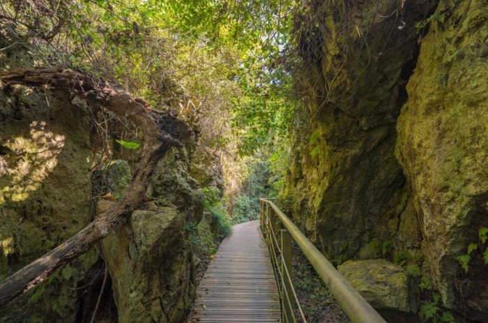 高雄步道​