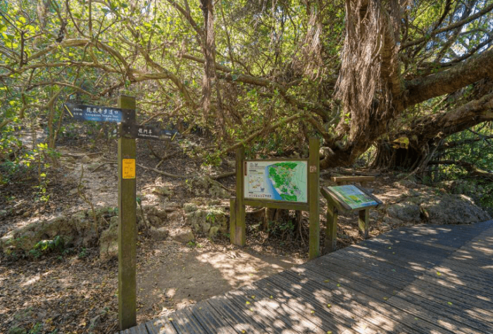 柴山登山步道安全注意事項 柴山登山步道安全注意事項