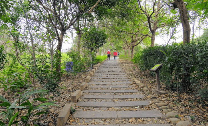 南寮登山步道路線 南寮登山步道路線