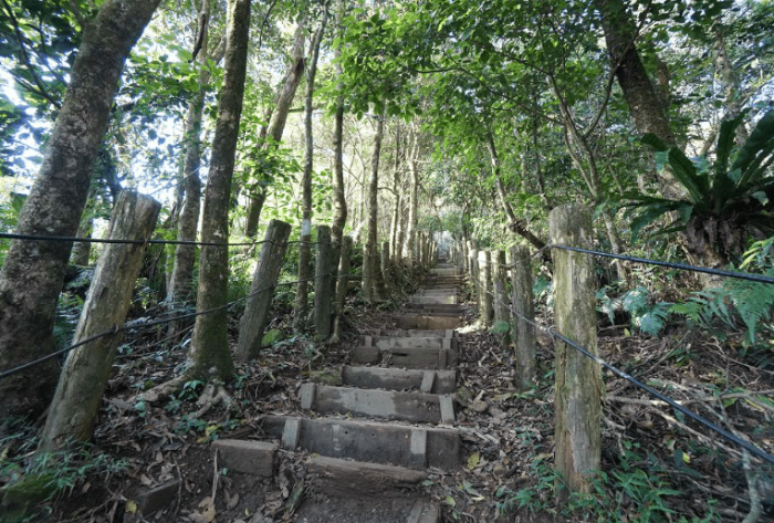大凍山登山步道入口 大凍山登山步道入口
