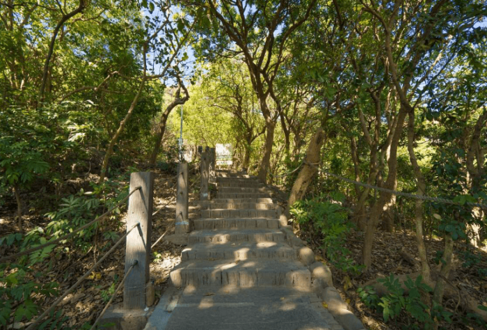 柴山登山步道入口 柴山登山步道入口