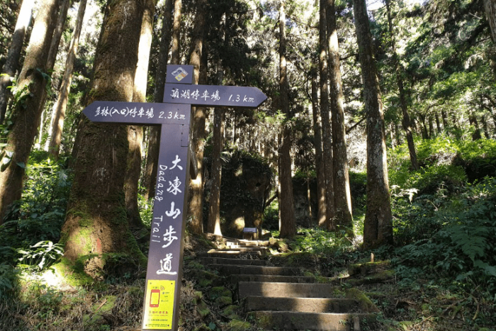大凍山登山步道裝備推薦 大凍山登山步道裝備推薦