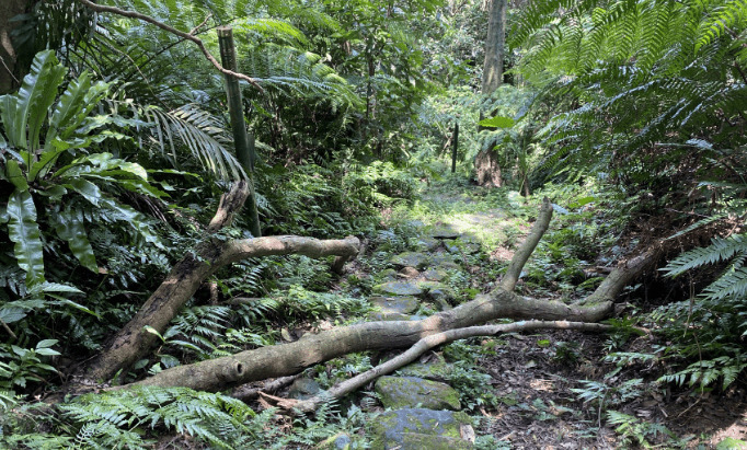 獅頭山登山步道安全注意事項 獅頭山登山步道安全注意事項