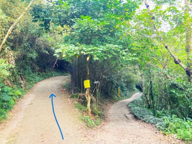 大凍山登山步道入口 大凍山登山步道入口