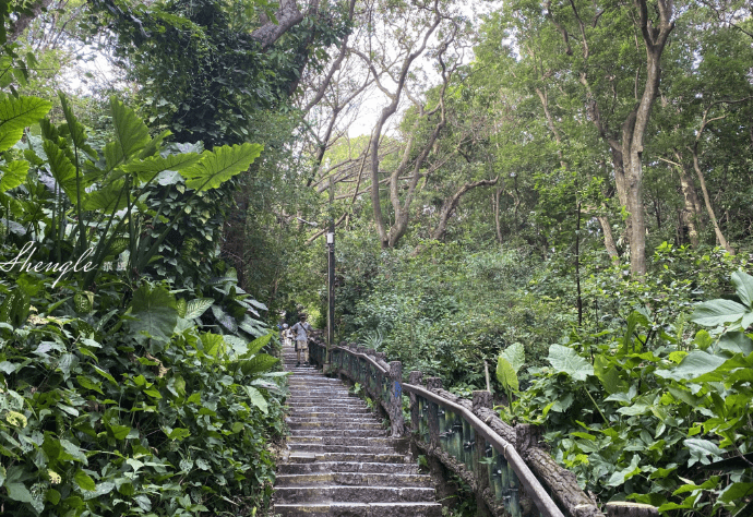 劍潭山親山步道路線 劍潭山親山步道路線