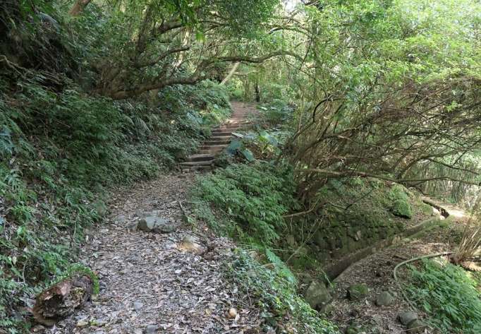 絹絲瀑布登山步道的特色 絹絲瀑布登山步道的特色