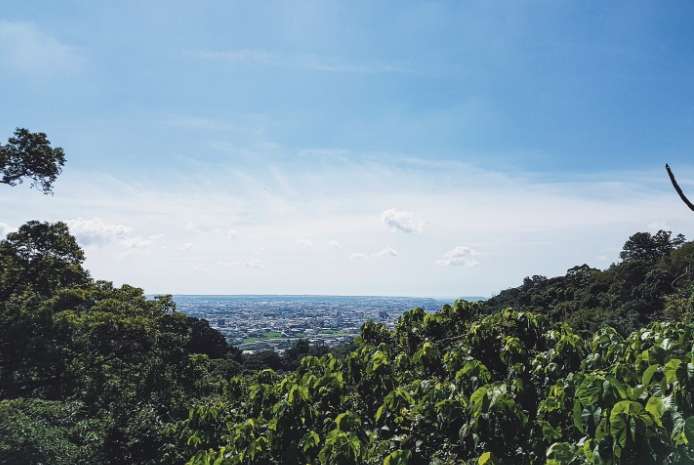 新田登山步道的登山體驗