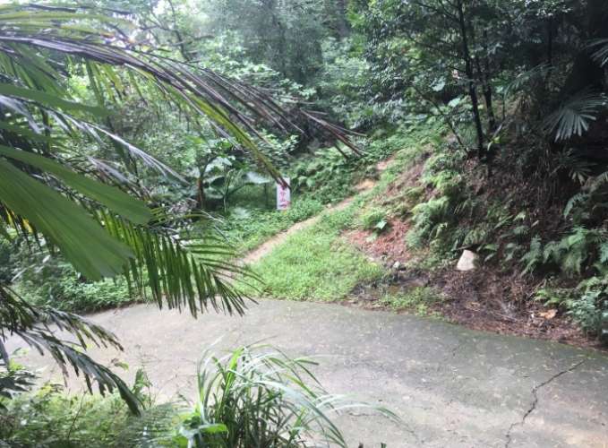 鳶山登山步道的登山體驗