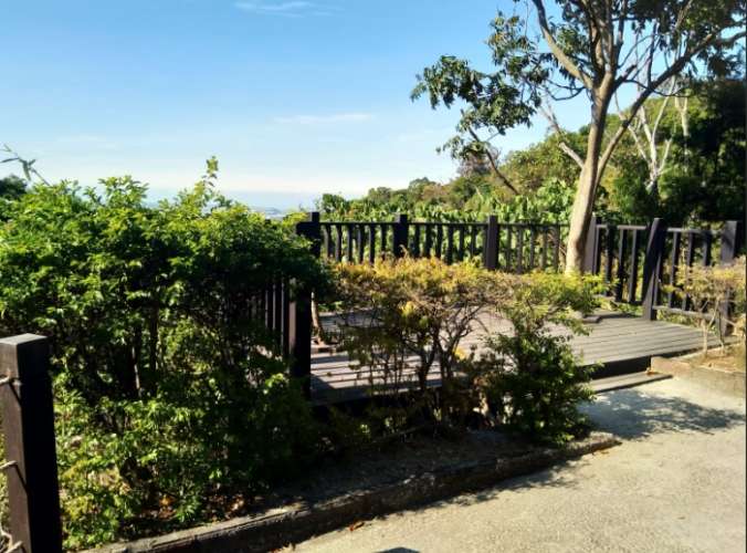 新田登山步道的歷史