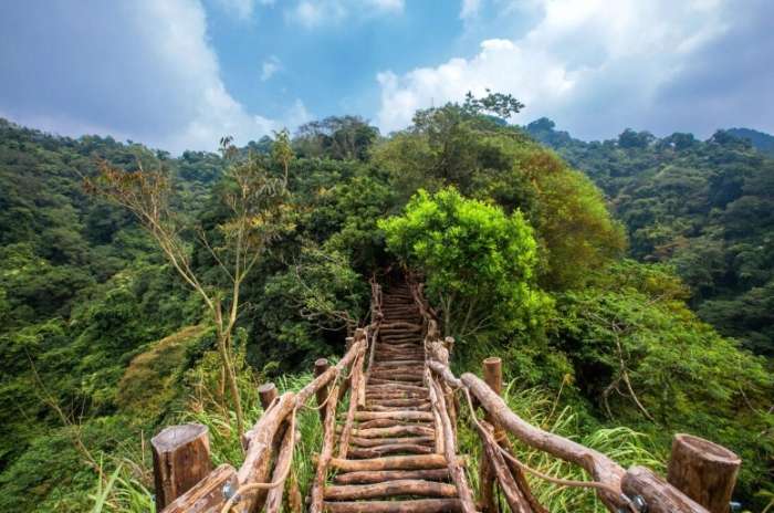 大坑十號登山步道的地理環境 大坑十號登山步道的地理環境
